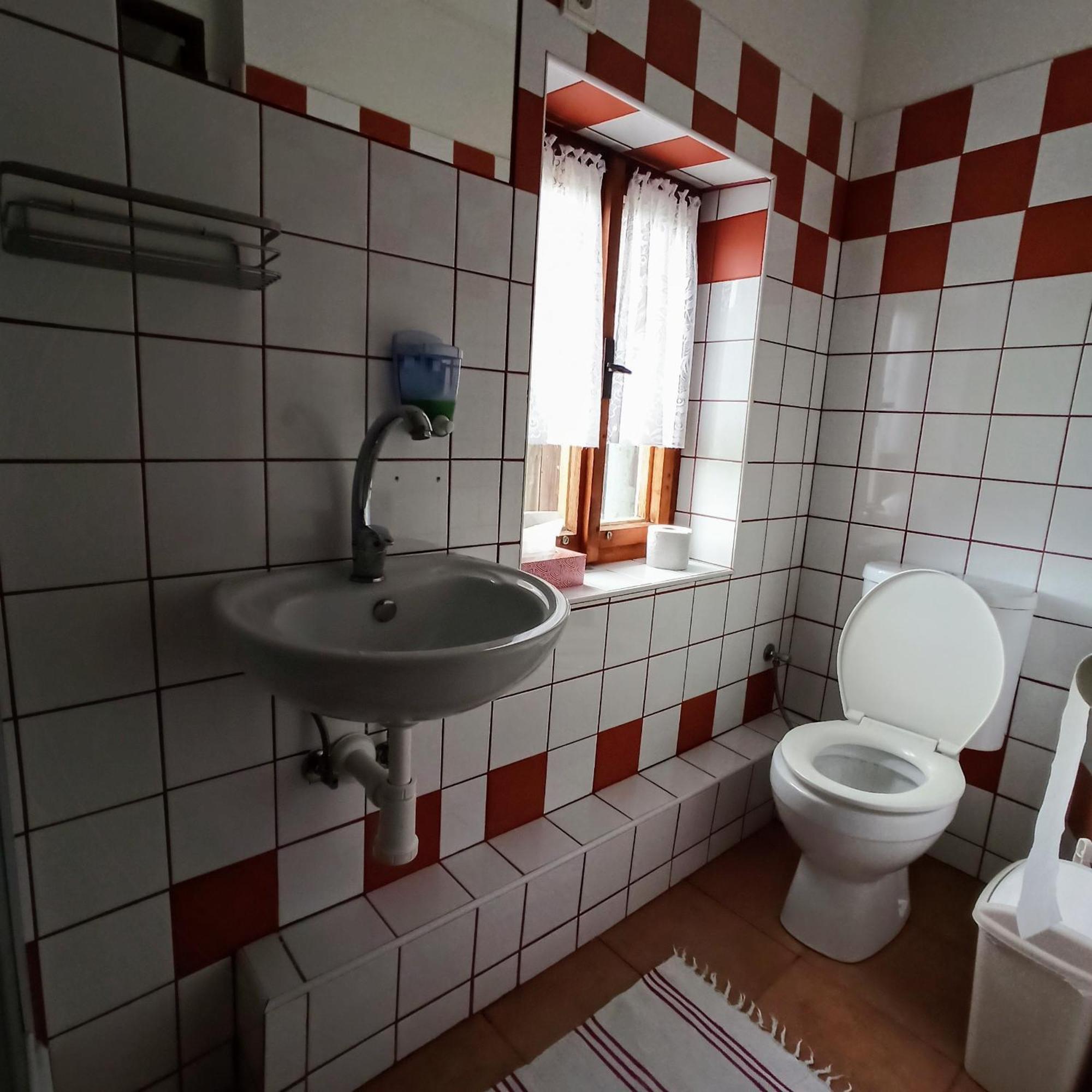Pension Helene S Mini Pivovarem Kytlice Exterior foto